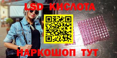 прущие грибы Новодвинск