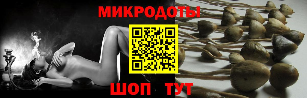 Псилоцибиновые грибы мицелий  Вход с VPN  Троицк 