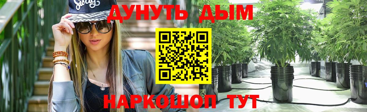 Шишки марихуана тримм  Марихуана план  Троицк  Канабис сатива  Конопля тримм  Вход с VPN 